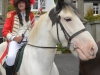 Mandatory Credit: ROWLAND WHITE/PRESSEYE
Event: Royal Black Sham Fight at Scarva
Date: 13th July 2013
Caption: King William (John Adair)